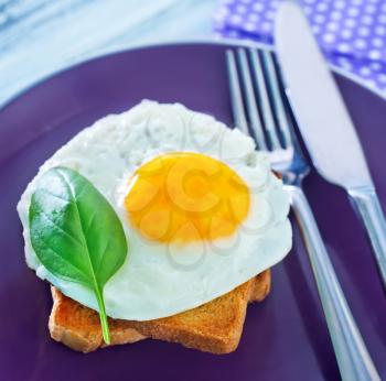 fried egg and toasts for the breakfast