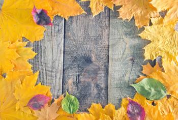 autumn yellow leaves on the wooden background