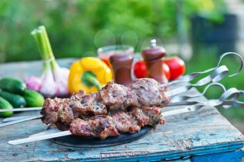 kebab and raw vegetables on a table and in the garden