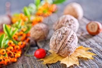 hawthorn and walnuts on the wooden table