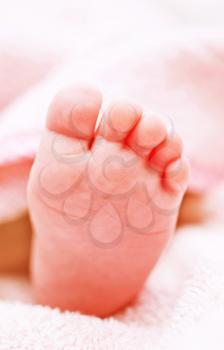 baby foot, newborn foot  on the bag