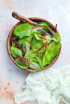 Fresh salad of green chard leaves or mangold