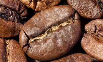 Brown roasted coffee beans close-up macro photo natural food background, selective focue, shallow depth of field.