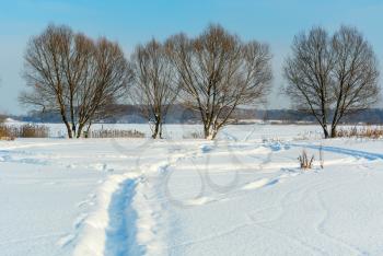 Winter snow covered countryside landscape with snowy field, trees and path trail under clear blue sky and winter day sunlight. Sunny winter day natural landscape.