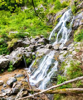Todtnau Waterfall in the Black Forest Mountains, one of the highest waterfalls in Germany