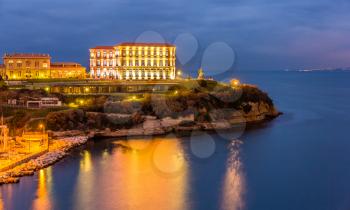 Palais du Pharo in Marseille by night - France