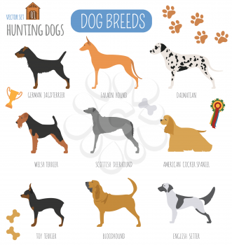 Dog breeds. Hunting dog set icon. Flat style. Vector illustration