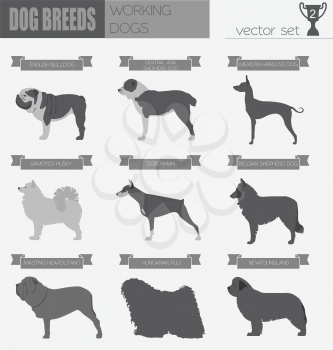 Dog breeds. Working (watching) dog set icon. Flat style. Vector illustration