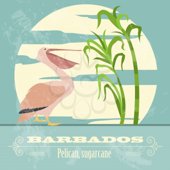 Barbados national symbols. Pelican; sugarcane. Retro styled image. Vector illustration