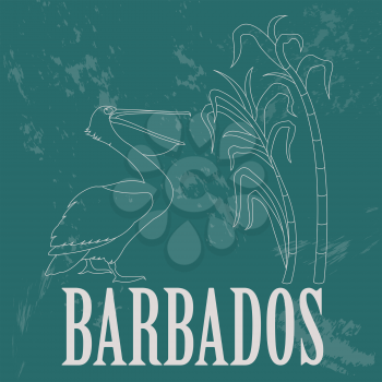 Barbados national symbols. Pelican; sugarcane. Retro styled image. Vector illustration