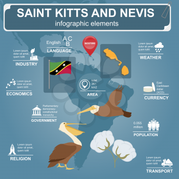 Saint Kitts and Nevis infographics, statistical data, sights. Brown pelican, cotton flower, national symbol. Vector illustration