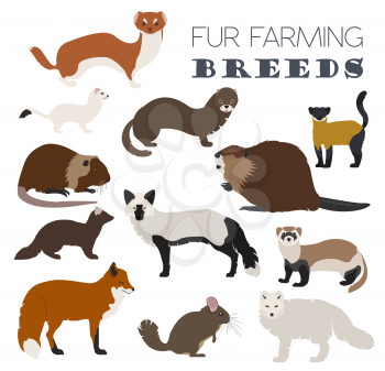 Fur farming. Flat design. Vector illustration