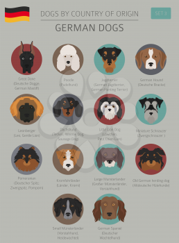Dogs by country of origin. German dog breeds. Infographic template. Vector illustration
