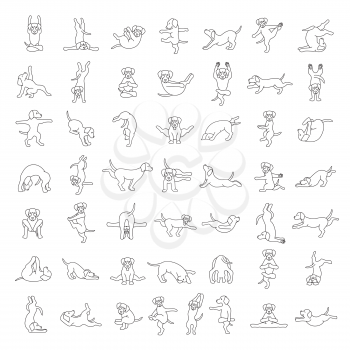 Yoga dogs poses and exercises doing clipart. Funny cartoon simple linear poster design. Vector illustration