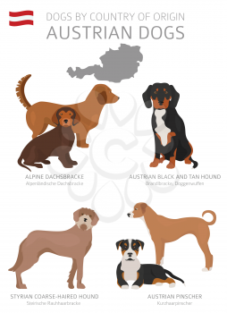 Dogs by country of origin. Austrain dog breeds. Shepherds, hunting, herding, toy, working and service dogs  set.  Vector illustration