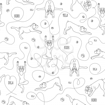 Yoga dogs poses and exercises. Boxer dog seamless pattern. Simple line design. Vector illustration