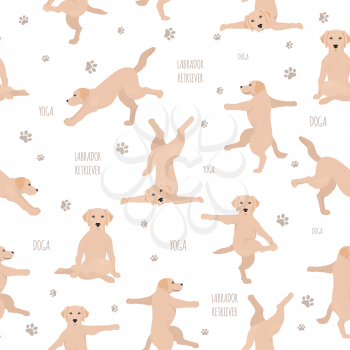 Yoga dogs poses and exercises. Labrador retriever seamless pattern. Vector illustration