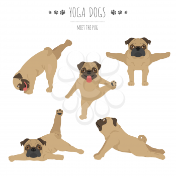 Yoga dogs poses and exercises. Pug clipart. Vector illustration