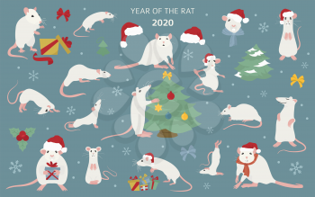 Different rats christmas collection. Rat poses and exercises. Cute cartoon new year clipart set. Vector illustration