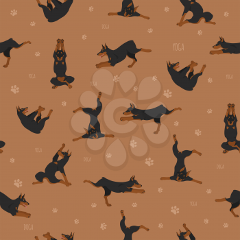 Yoga dogs poses and exercises seamless pattern design. Doberman clipart. Vector illustration