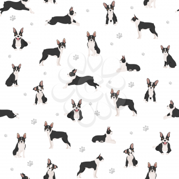 Boston terrier seamless pattern. Dog healthy silhouette and yoga poses background.  Vector illustration