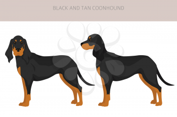 Black and tan coonhound clipart. Different coat colors and poses set.  Vector illustration