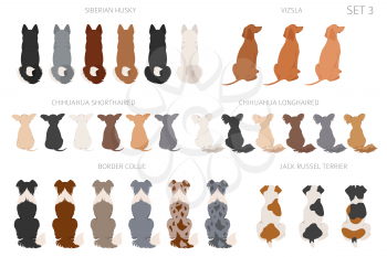 Sitting dogs backside clipart, rear view. Diifferent coat colors variety. Pet graphic design for dog lovers. Vector illustration