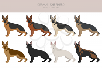 German shepherd dog  in different poses and coat colors clipart. Vector illustration