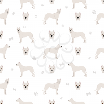 Dogo Argentino seamless pattern. Different poses, coat colors set.  Vector illustration