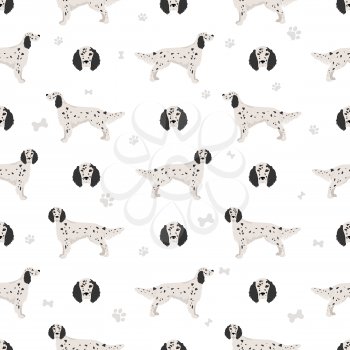 English setter seamless pattern. Different poses, coat colors set.  Vector illustration