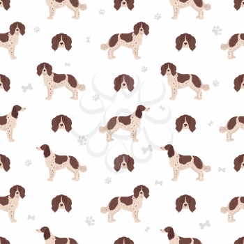 French spaniel seamless pattern. Different poses, coat colors set.  Vector illustration