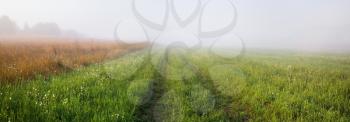 Foggy meadow at morning. Rural landscape with bright green grass. Panoramic shot.
