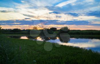 Sunset on the background of the pond, overgrown with sedges. Reflection of the sky and bushes in the water. Picturesque summer landscape.