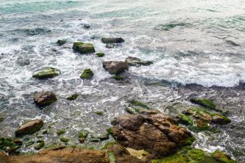Close-up of rocky shore with sea water and large rocks covered with algae. Rocky coastline with sea water.