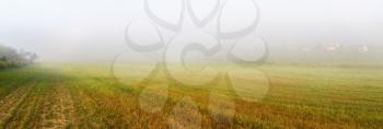 Field and fog. Foggy meadow at morning. Rural landscape with bright green grass. Panoramic shot.