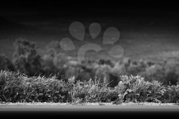 Black and white mountain road with grass border background hd