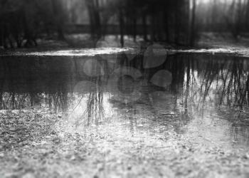 Horizontal black and white spring pond landscape background hd