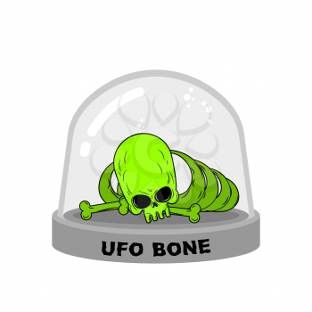 UFO Bones in Glass Bell. Skull alien humanoid laboratory flask. Skeleton alien. Glass Bank Research. Mystery Experimental analysis of data green monster from another planet