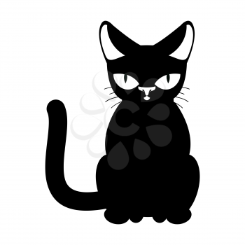 Cat black isolated. Pet on white background
