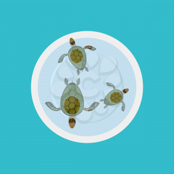 Turtle soup isolated. Delicatessen food on blue background. Sea animals on plate 
