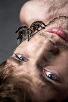 Portrait of a Young Handsome Man with Big Spider on His Face