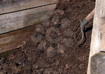 Working in the garden: compost pile with a rustic pitchfork