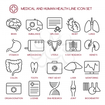 Medicine and human health line icons. Medical line symbols. Vector illustration