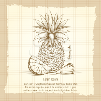 Hand drawn pineapple on vintage notebook background. Retro style poster vector illustration