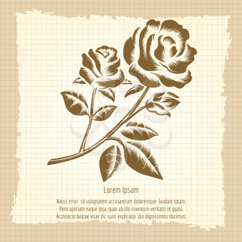 Vintage poster with hand drawn roses engraving. Vector illustration