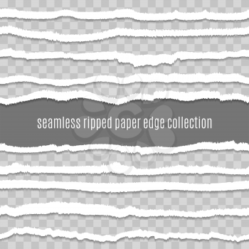 Transparent paper tears edges. Tearing paperes vector illustration, torn edged textures image, seamless grunge ripped edge collection for scrapbooking
