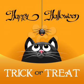 Halloween cat poster. Trick or treat happy halloweens night party invitation card, pumpkins color background with cat hunting for spider animals characters vector illustration