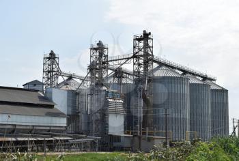 Plant for storage and processing of grain