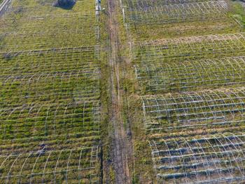 Frameworks of greenhouses, top view. Construction of greenhouses in the field. Agriculture, agrotechnics of closed ground.