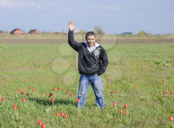 A man in a jacket on a field of tulips. Glade with tulips.